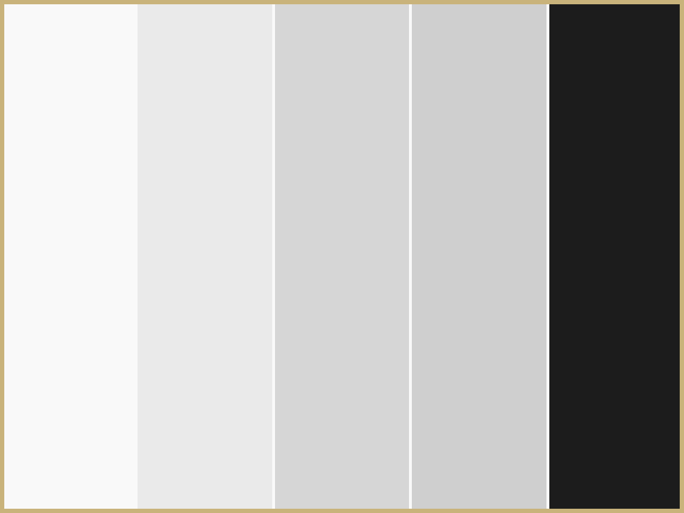 Which color palette do you resonate with most?